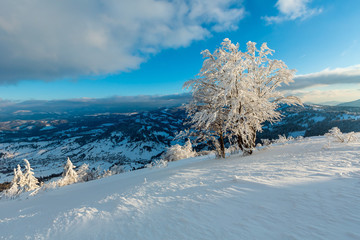 Winter mountain snowy evening landscape