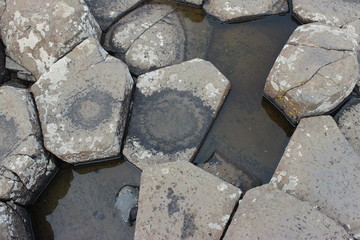 Giant's Causeway