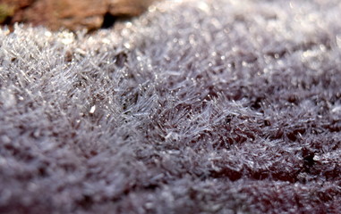 Frost