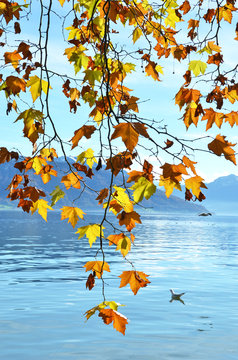 Lake Zug, Switzerland