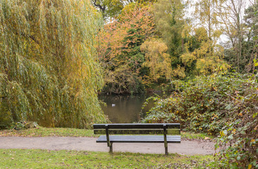 Place to enjoy the autumn season