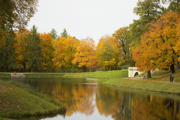 Obraz premium Autumn Gatchina Park with yellow foliage on trees and Karpin Pond, in which they are reflected.