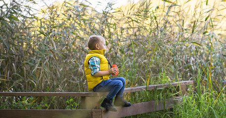 Naklejka na ściany i meble Little boy with binoculars sitting on a wooden fence in the reeds