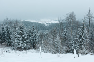 Fototapeta premium Early morning winter mountain landscape