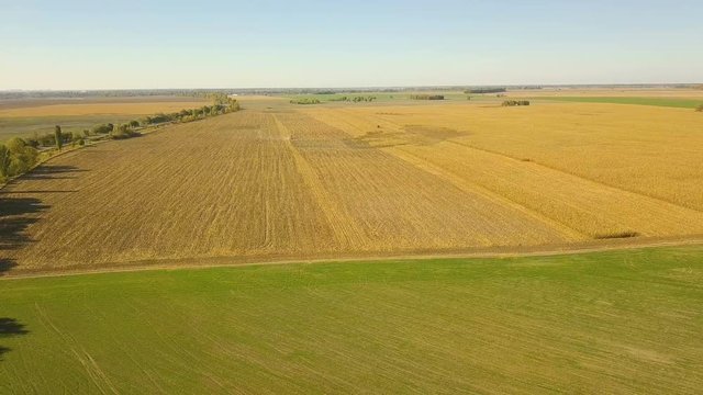Aerial/Drone footage of a combine harvester