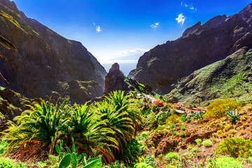Masca, Tenerife, Spain, Canary Islands: Small mountain village Masca on the island of Tenerife in Canary Islands, the Macizo de Teno mountains © davidionut