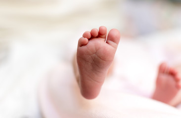 foot and fingers of a newborn baby, with white background out of focus.
