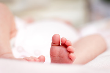 feet and fingers of a newborn baby, with white background out of focus.