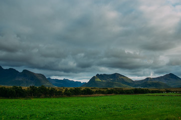 Obraz premium Beautiful view to the mountains on Lofoten Islands, Norway
