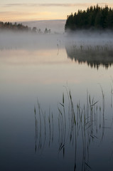 The lake; A midsummer night at