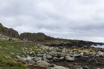 slanted columns at the Giant's Causeway