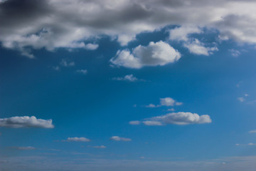 Obraz premium A tree seen with sky and clouds in the background.