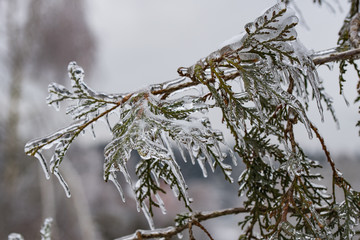 freezing rain