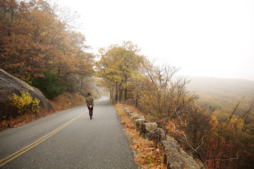 Obraz premium Rear view of man walking on road