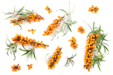 Sea buckthorn. Fresh ripe berry with leaves isolated on white background. Top view. Flat lay pattern