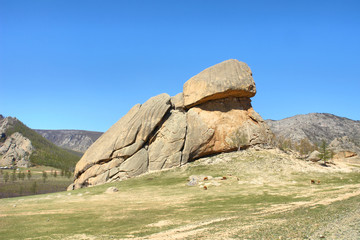 “Turtle Rock ”  -  rock formation in The Gorkhi Terelj National Park, Mongolia
 - obrazy, fototapety, plakaty