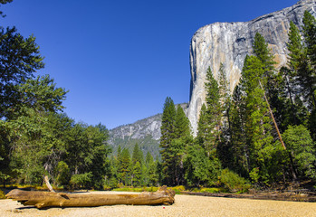 Yosemitie California