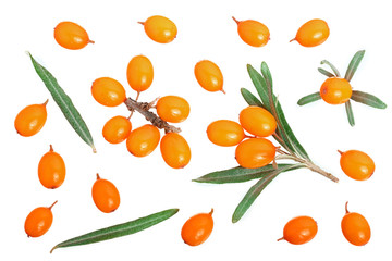 Sea buckthorn. Fresh ripe berry with leaves isolated on white background. Top view. Flat lay pattern