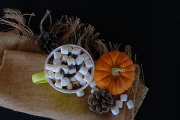 Hot cocoa drink on burlap with mini pumpkin for fall in background