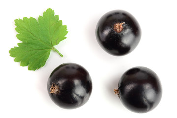 black currant with leaves isolated on white background. Top view. Flat lay pattern