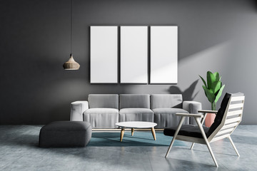 Gray living room with poster gallery