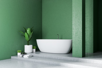 Fototapeta na wymiar Green bathroom corner, white tub