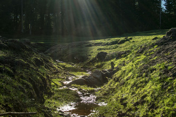 Ein kleiner Fluss im Sumpfland.