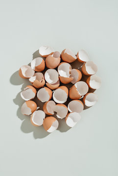 Eggs shells