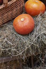 Composition of pumpkins with hay at wood background