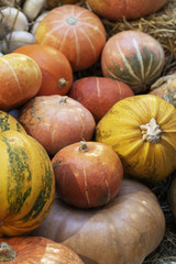Composition of pumpkins with hay at wood background
