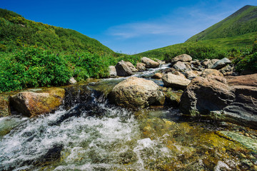 Naklejka na ściany i meble Mountain creek with big boulders in sunny green valley near hills under blue sky. Clean water stream in fast brook in sunlight. Amazing landscape of Altai nature.