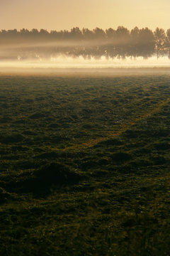 Golden sunrise over a misty rural landscape in The Netherlands