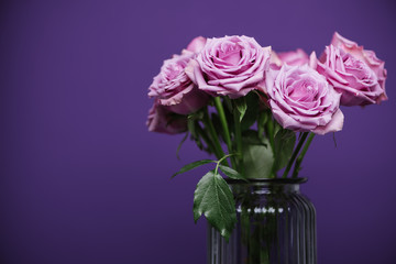 Purple roses in vase