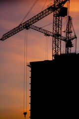 construction crane at sunset close-up
