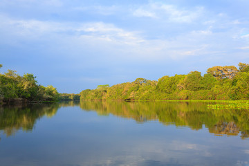 Panorama from Pantanal, Brazilian wetland region.