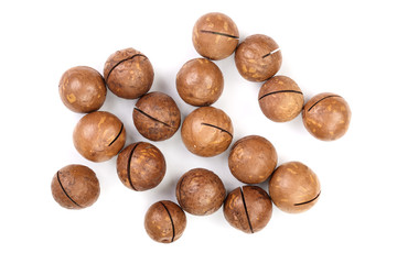 unshelled macadamia nuts isolated on white background. Top view. Flat lay pattern