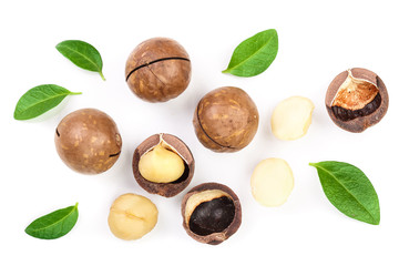 Shelled and unshelled macadamia nuts with leaves isolated on white background. Top view. Flat lay pattern