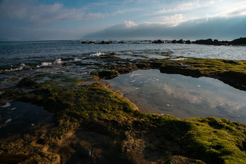 morning on the ocean at low tide, green stones and smooth pools, reflecting the sky