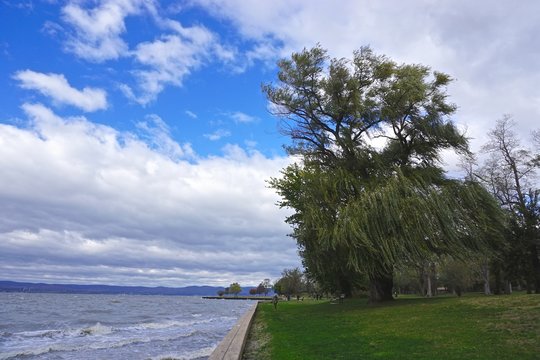 Croton-on-Hudson, New York, USA: Waves lap a retaining wall and winds blow the branches of a willow tree (Salix alba) as visitors walk along the Hudson River in Croton Point Park, Westchester County.