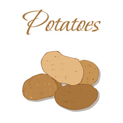 Illustration of Tasty Veggies. Vector Potatoes Isolated on a White Background
