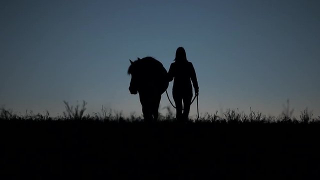 Silhouettes of a female equestrian leading her horse outdoors after sunset while the wind is blowing
