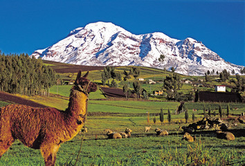Landscape of Chimborazo