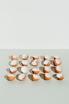 Egg shells