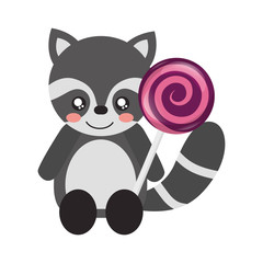 cute raccoon with sweet lollipop