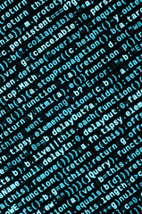 Javascript functions, variables, objects. Monitor closeup of function source code. IT specialist...