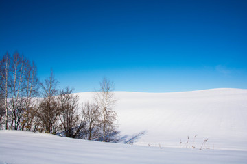 冬晴れの青空と雪の丘