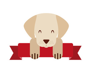 cute mascot dog domestic ribbon