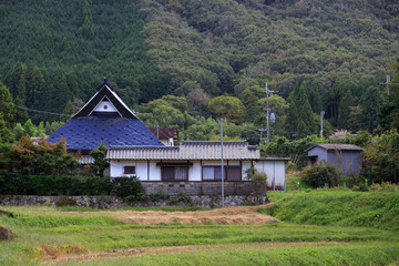 Traditional Japanese house surrounded by lush green land