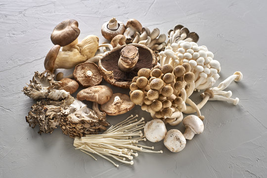 Wholesome Collection of Gourmet Mushrooms with Copy Space