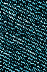 Javascript functions, variables, objects. Monitor closeup of function source code. IT specialist...